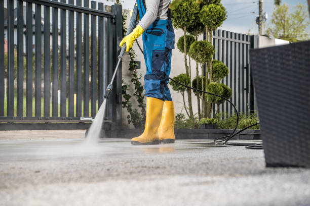 Best Rust Removal  in Hillsboro, MO